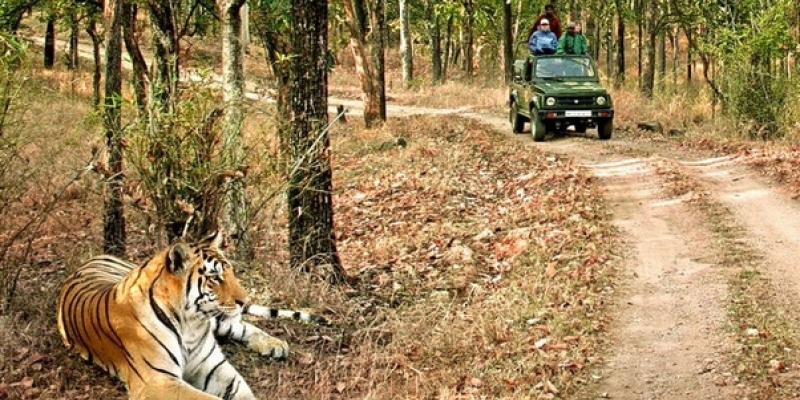 Explore Wilderness in India’s Top National Parks, That are Full of Fun, Adventure and Wilderness